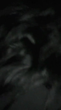 Pecorina Carpark essex