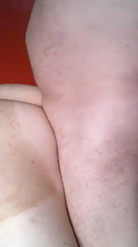 Close-up op zijn hondjes