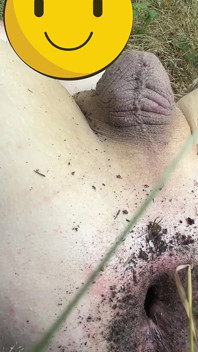 Outdoor-anal-einführen