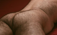 BTrucker77: När en tillgång slår sin rumpa 3