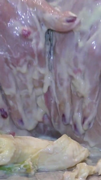 Ngôi sao khiêu dâm của custard và cream chuối wank.