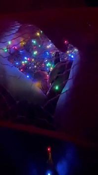 Ebony BBW Masturbates Christmas Edition