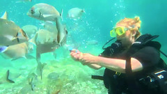 JessieHH: Potápění v Turkiye! Bezplatně