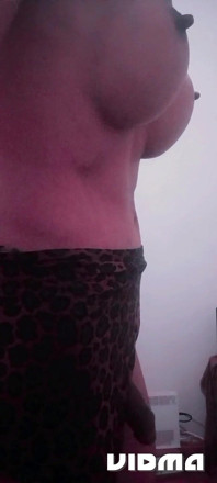 Polla Grande Lara transexual