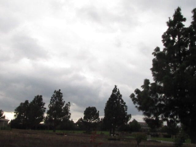 The porky pervert: Venkovní park Jerkoff 3