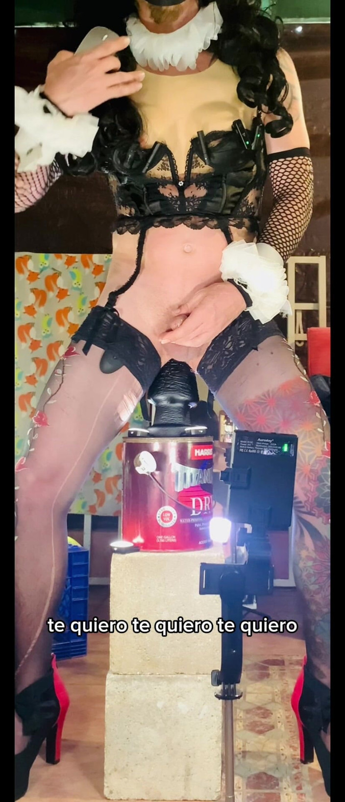 Benito414: Femboy đồ lót gợi cảm cưỡi con cu giả to đen