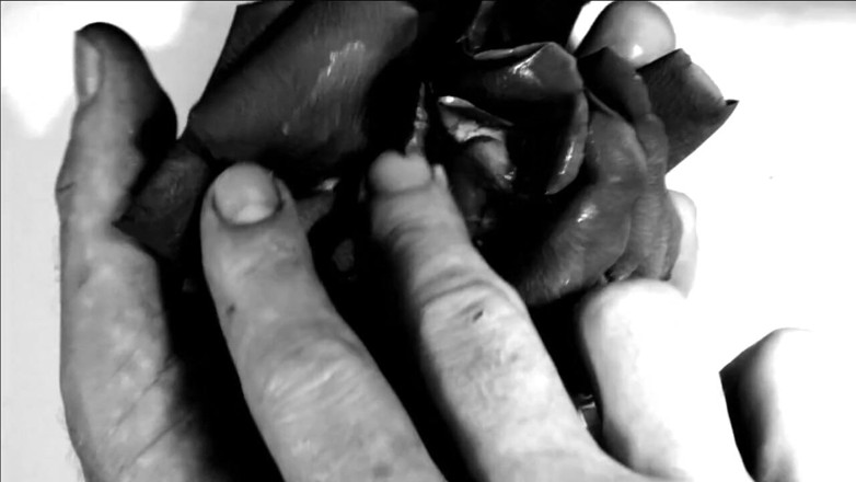 Kane Santiago: Hand Fetish - bàn tay của tôi phá hủy hoa và...