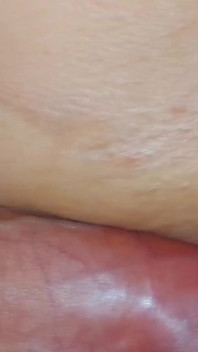Sexilvenia Close-Up
