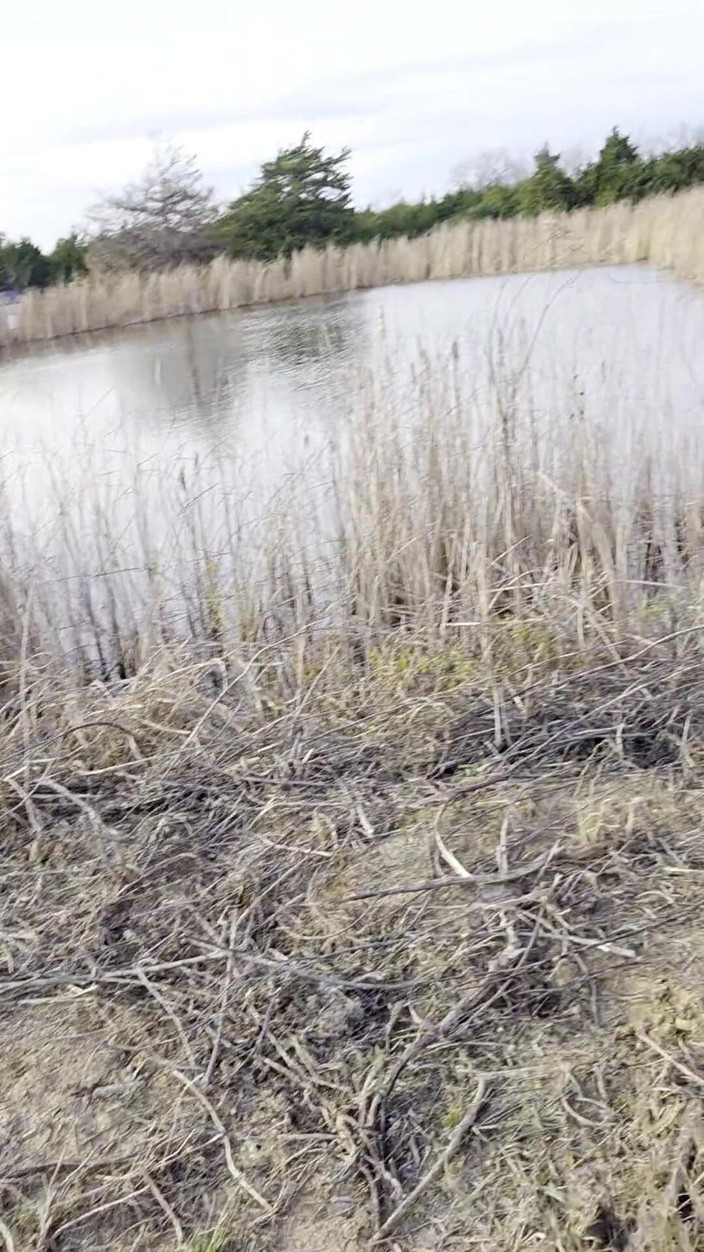 NaughtyRedFarmgirl: Roodharige neukt kont en poesje buiten op de boerderij