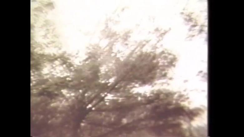 Vintage megastore: Andrea True a její tým v lese