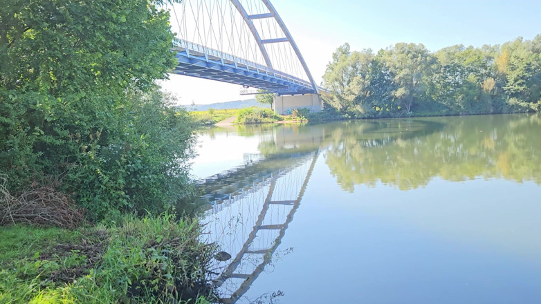 Aleman-Adult-Actor: Penelan sperma