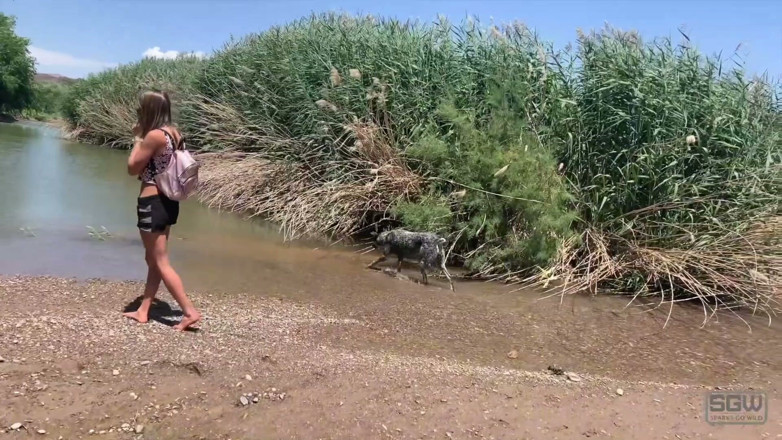Sparks Go Wild: Sparks Go Wild Playing in the Mud