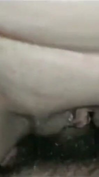 Blowjob and Pussy 1
