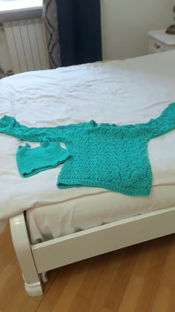 I Knitted Myself a Top and a Sweater, Bragging