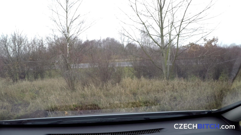 Czech Bitch: Tcheca cadela 62 jovem loira amante anal