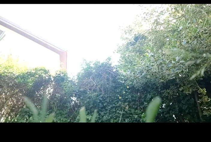 savannahamatoriale: Je n’arrive pas à croire ce que je vois ! Chantal Burps,...