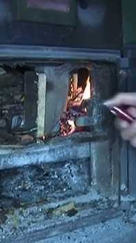 Руда мамка ділиться дикою пристрастю зі своїм коханцем