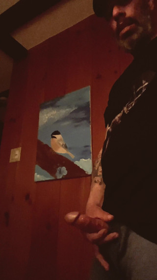 King Masturbator: Užijte si mé nové následovníky