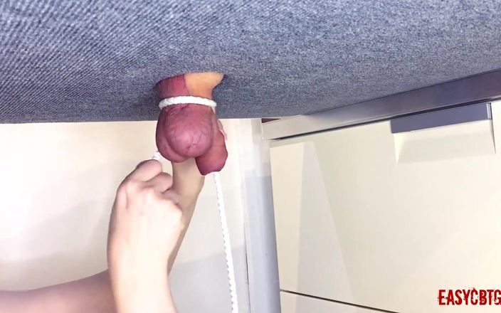 AnnyCandyPainboy: 女主人绑球和鸡巴并玩弄他们 easycbtgirl