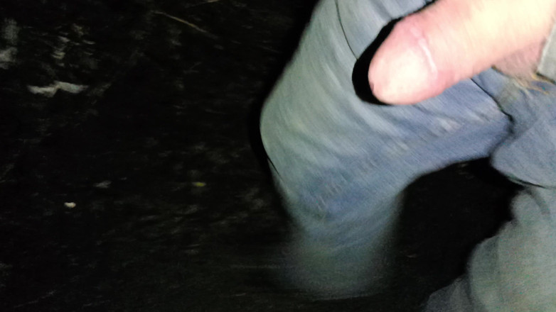 Rockardglans: Noite de cruzeiro, grande pau sem cortes masturbando e gozando...