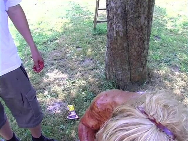 Horny Two really wet MILFs: Blonde slut gets all covered with food outdoors