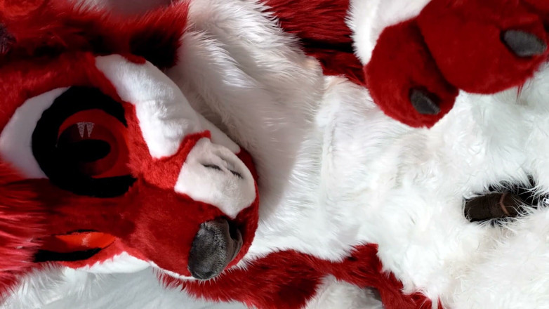 PawgrammerSocks: Furry in Full-body Fursuit Pisses on You, Then Cums Over...