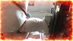 Elgloton: Explorando o Wolvetter com o Super Mestre