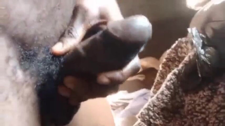 Bangcum8: Pau longo, garoto, gozada em cima da namorada Colth