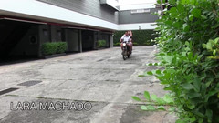 Big Bamboo Trans: Otra obra maestra