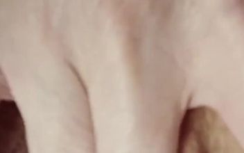 4568856