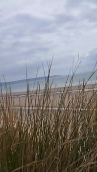 Sexo na praia nudista