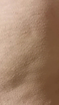 Ass Here