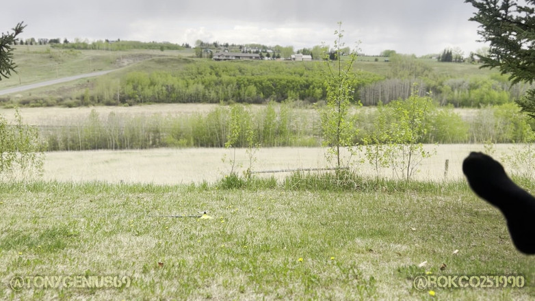 Tony Genius: Tony'nin ev ısınma hediyesi