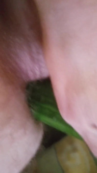 Fuck My Ass