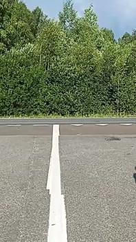 Me Burlo De Los Conductores En La Carretera