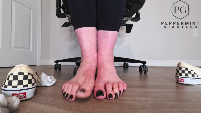 Peppermint Giantess: Sneaky Office Foot Tease in Checkerboard Vans - Toe-only Strip &amp; Intense...