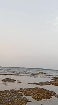 Menikmati Kencing Pagi Saya Di Luar Di Pantai