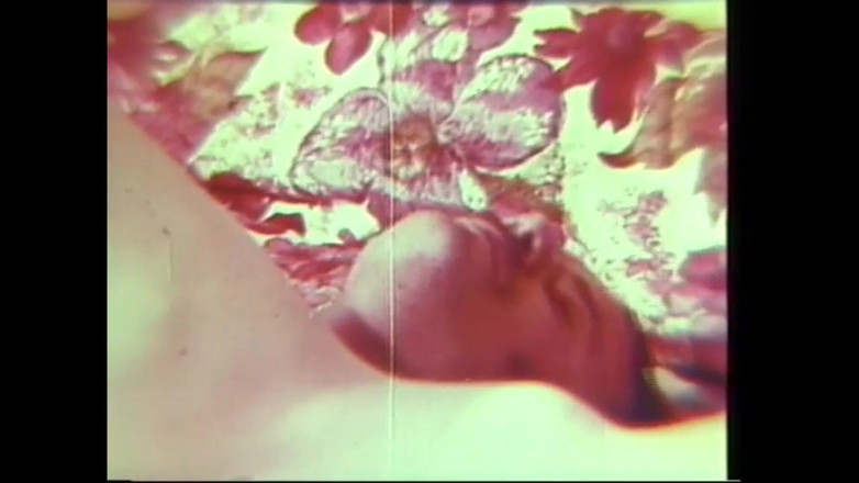 Vintage Usa: Bichanos históricos