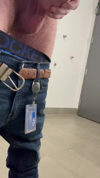 Orso zenzero al lavoro