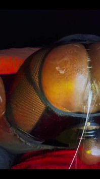 Butthole Training 3