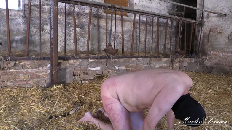 Merciless Dominas: Comment vous sentez-vous ?