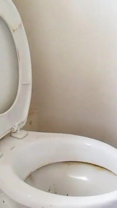 Nasty Toilet Sissy