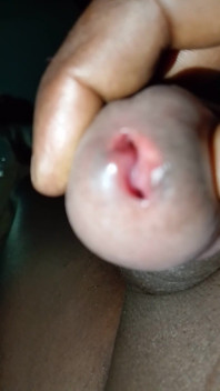 BBW Cock
