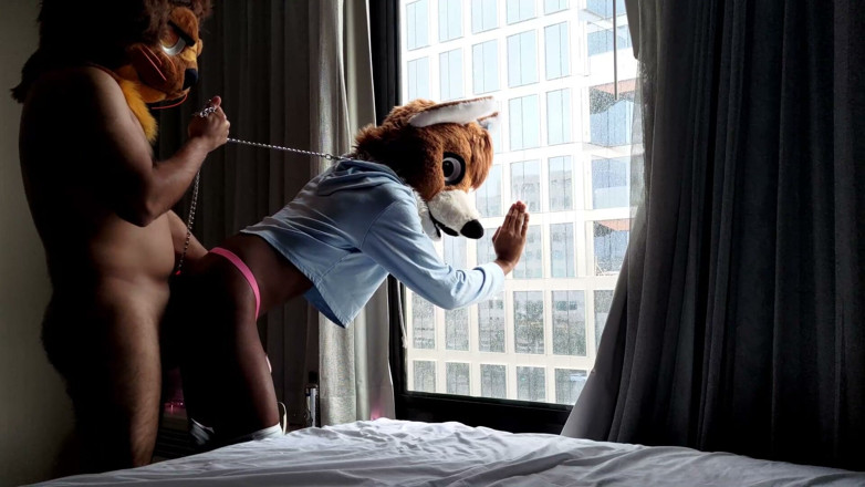 PawgrammerSocks: Bareback Femboy Furry Fursuit Fuck in Front of Window