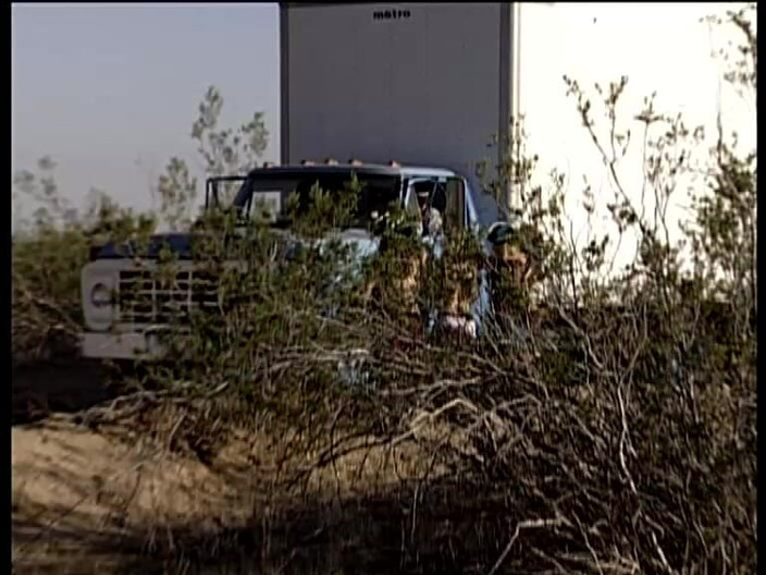 SinWorld - Just the best in porn: Fluch Der Piratenschlampen. Malédiction des salopes pirate