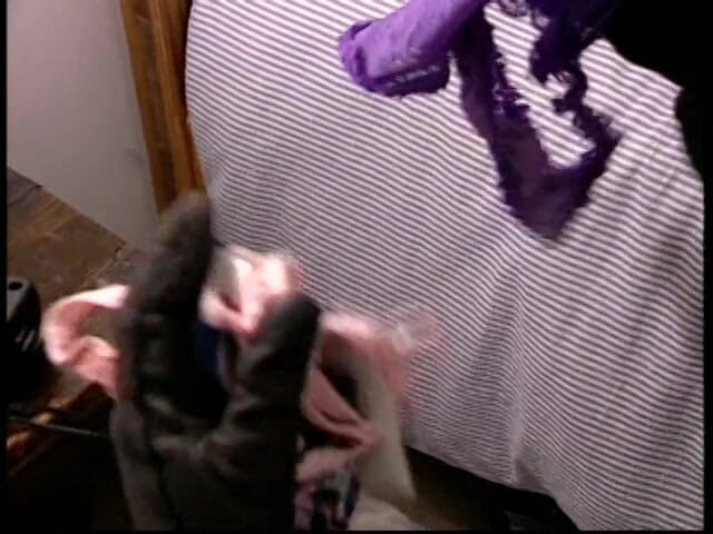 Fuck me Hard: Người phá nhà đã rất ngạc nhiên trong hành động của sinh...