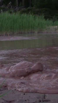 Bagno di fango in uno stagno profondo in una cava di ghiaia