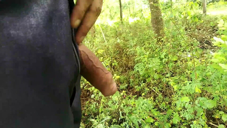 Desimast7: Ukazuji ptáka v Otevřené zahradě