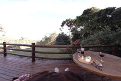 Virtual Real Trans: 一个需要努力奋斗的妻子