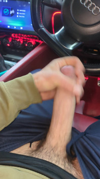 Car Dick Wank